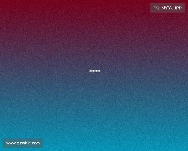 磁吸充电散热器 磁吸充电散热器